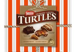 Turtles Assorted